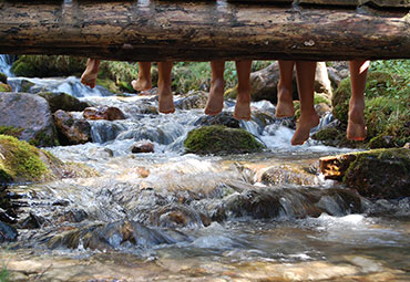 Wasser und Natur